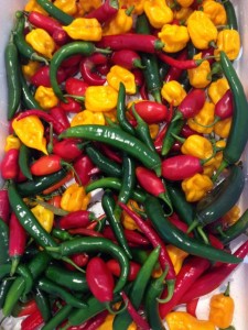 Box o peppers